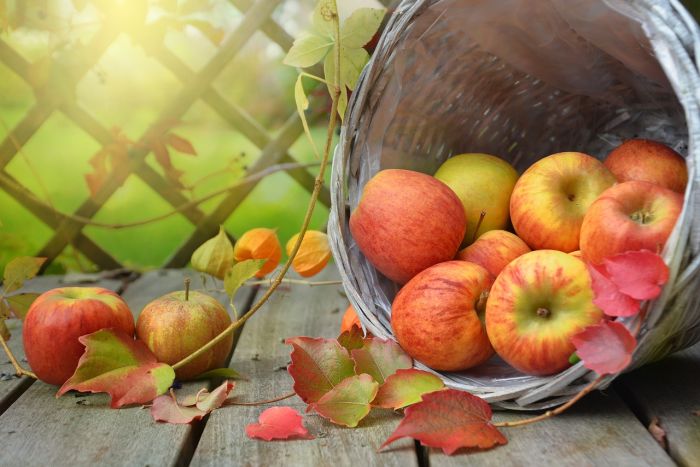 Le rééquilibrage alimentaire : un autre regard sur notre assiette